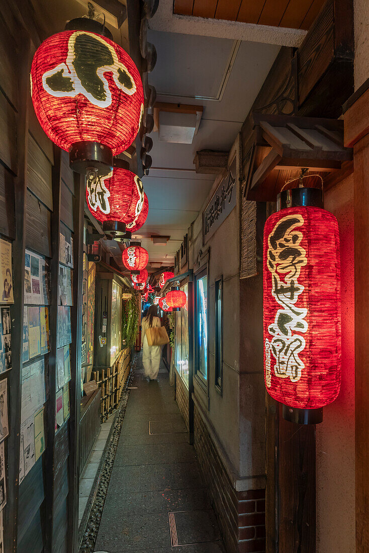 Blick auf japanische Laternen in einer dunklen Gasse in Dotonbori, einem pulsierenden Vergnügungsviertel in der Nähe des Flusses, Osaka, Honshu, Japan