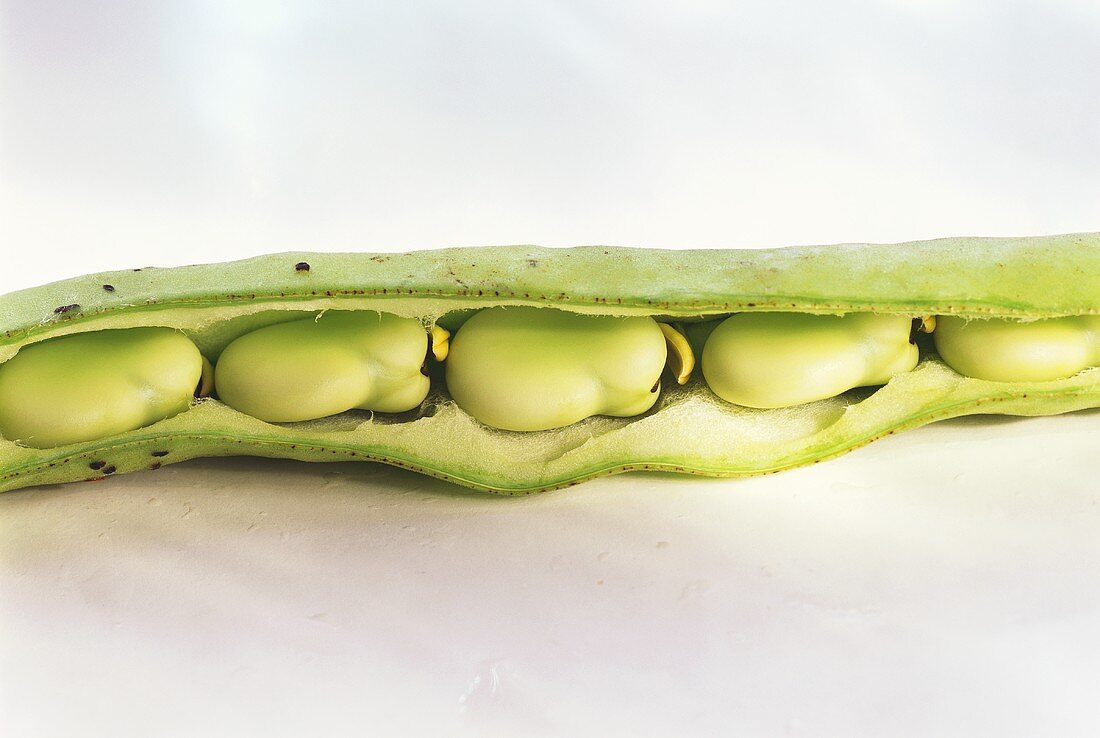 Broad beans (field beans) in opened pod