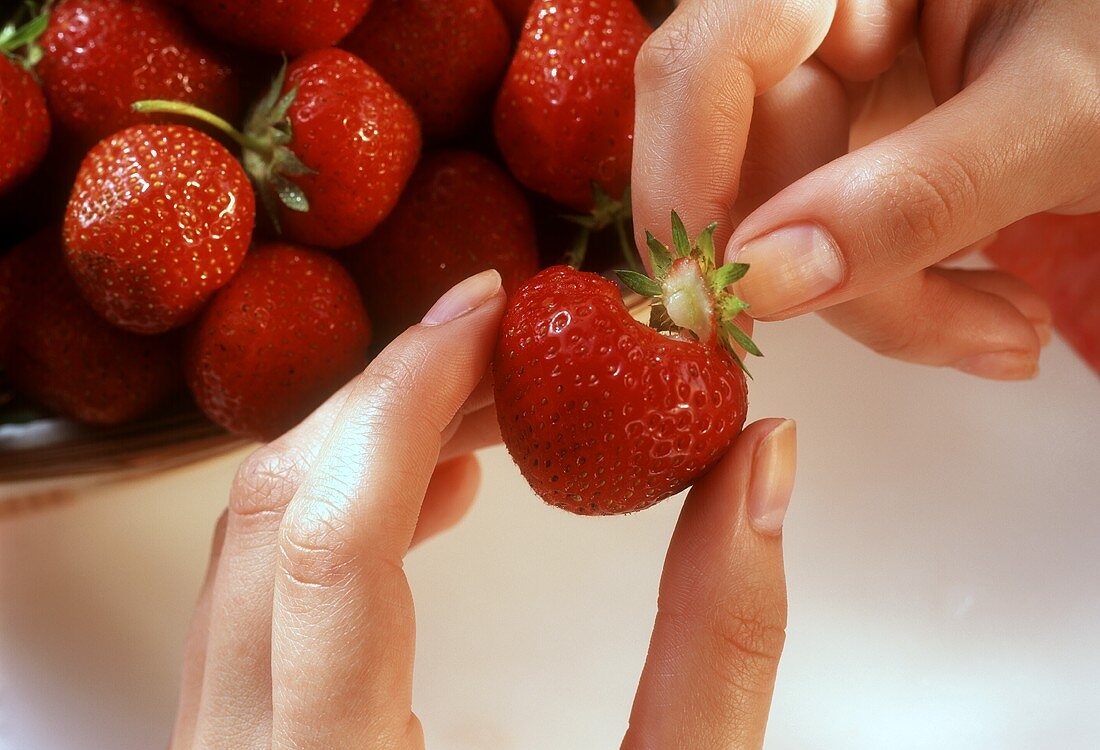 Erdbeeren entstielen: Stiel mit Händen abzupfen