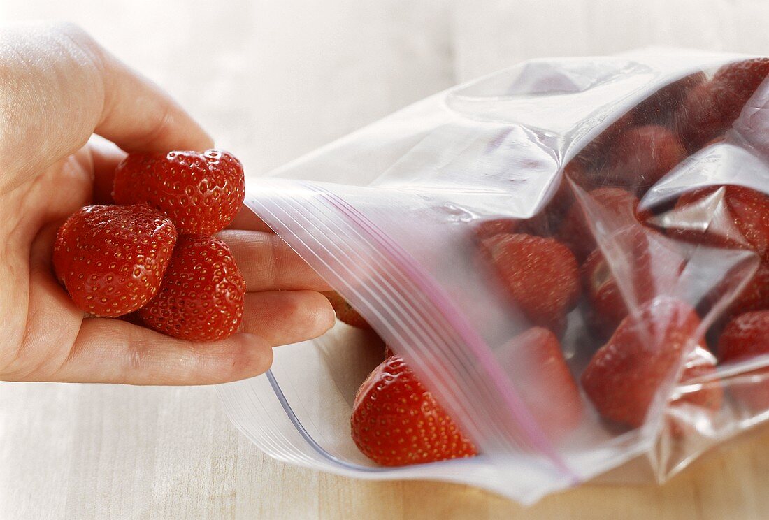 Placing Strawberries into a Freezer Bag