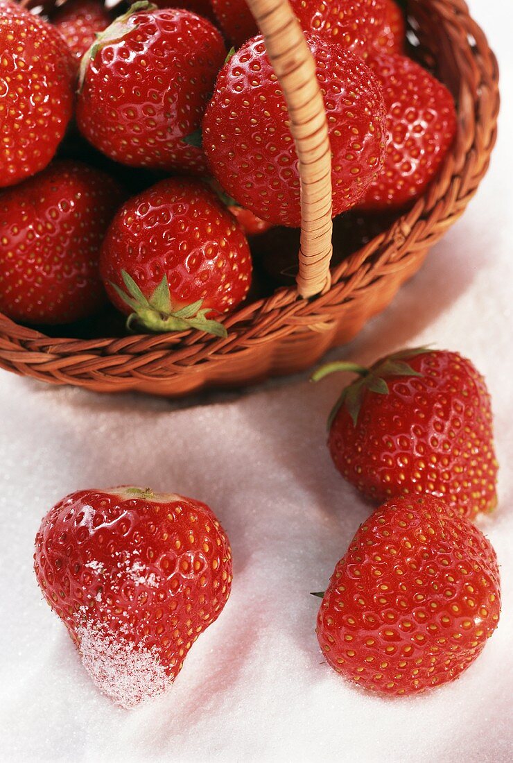 Erdbeeren im Körbchen und auf Zuckerhaufen