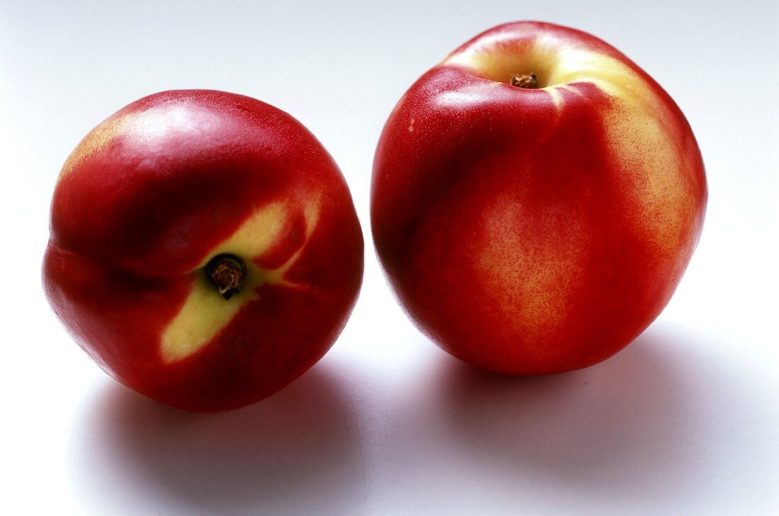 Two Nectarines