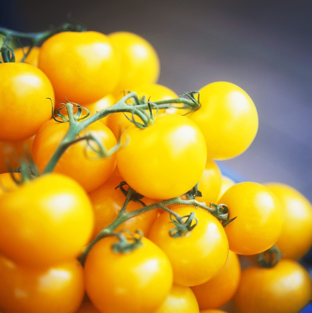 Small yellow vine tomatoes