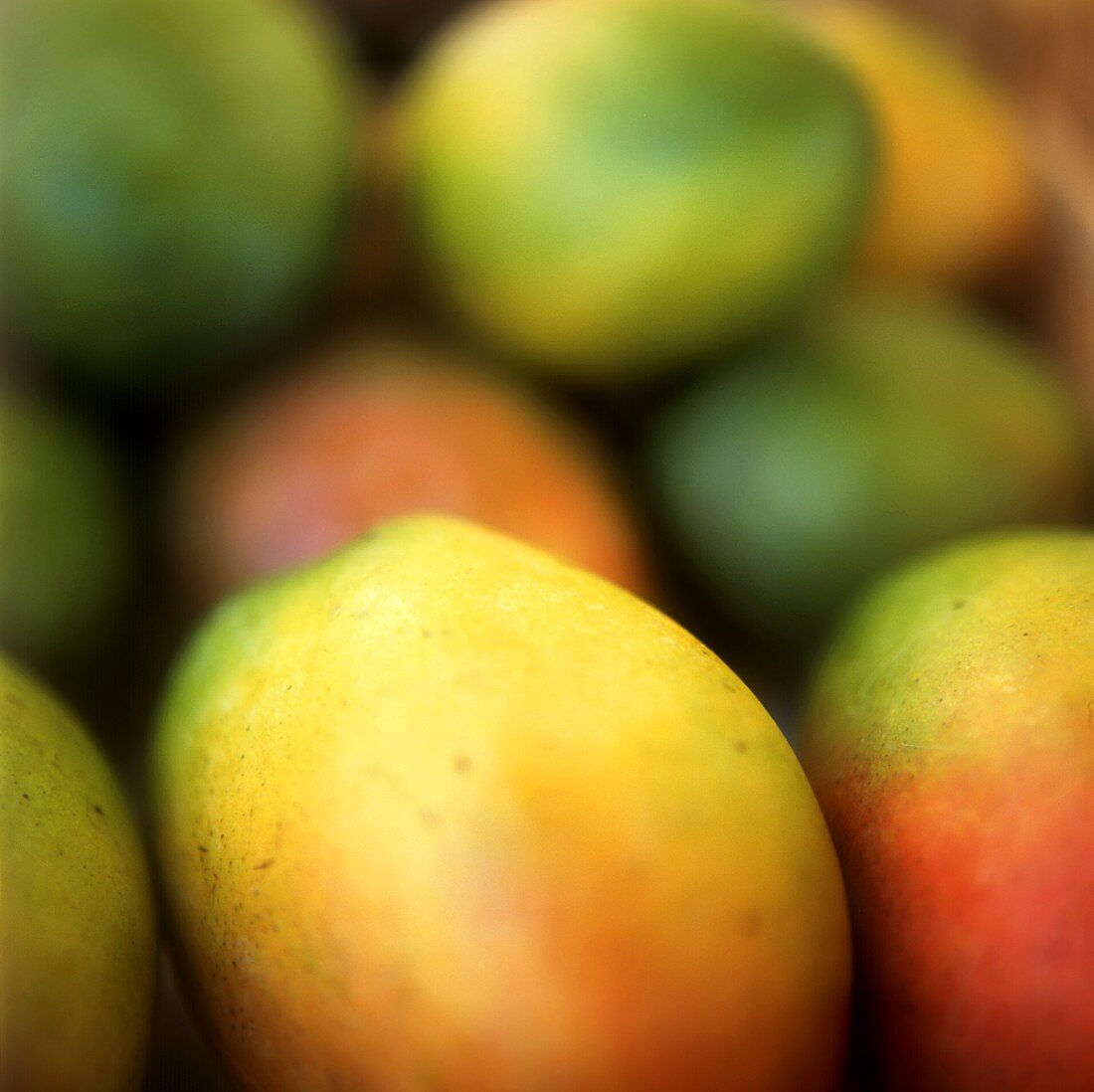 Several mangoes (filling the picture)