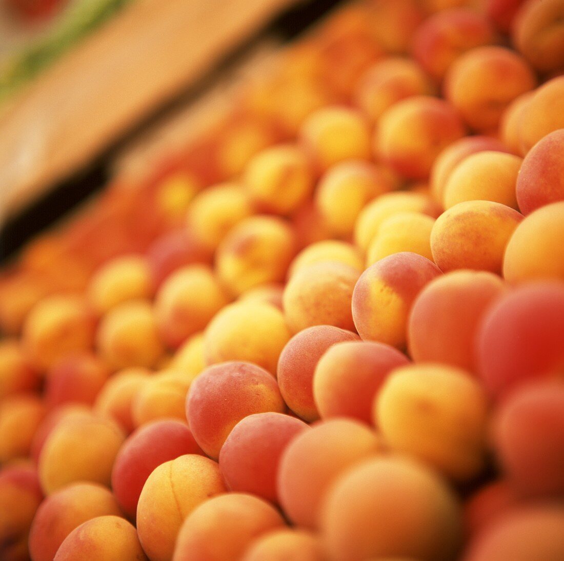 Lots of apricots