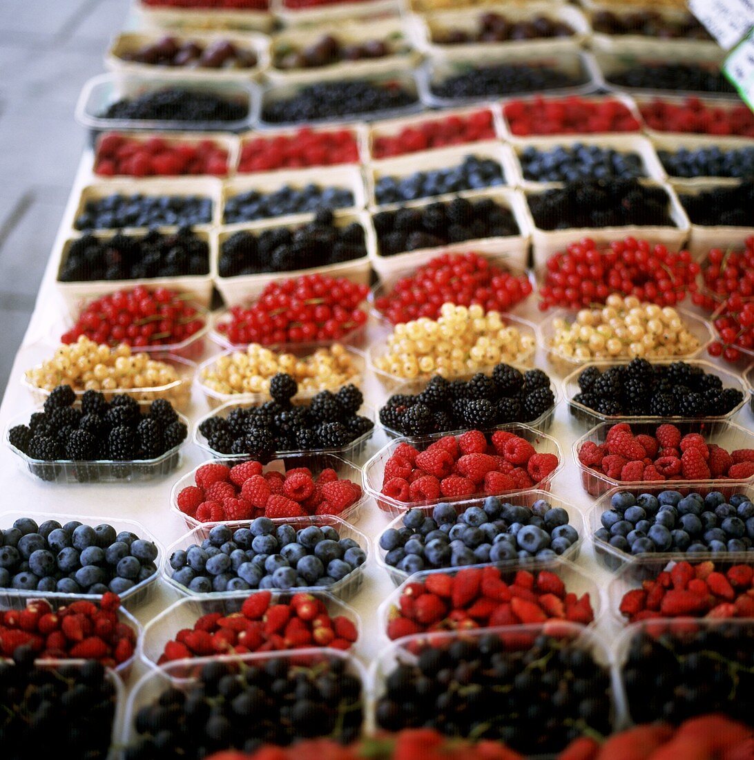 Viele verschiedene Beeren in Schälchen auf einem Marktstand