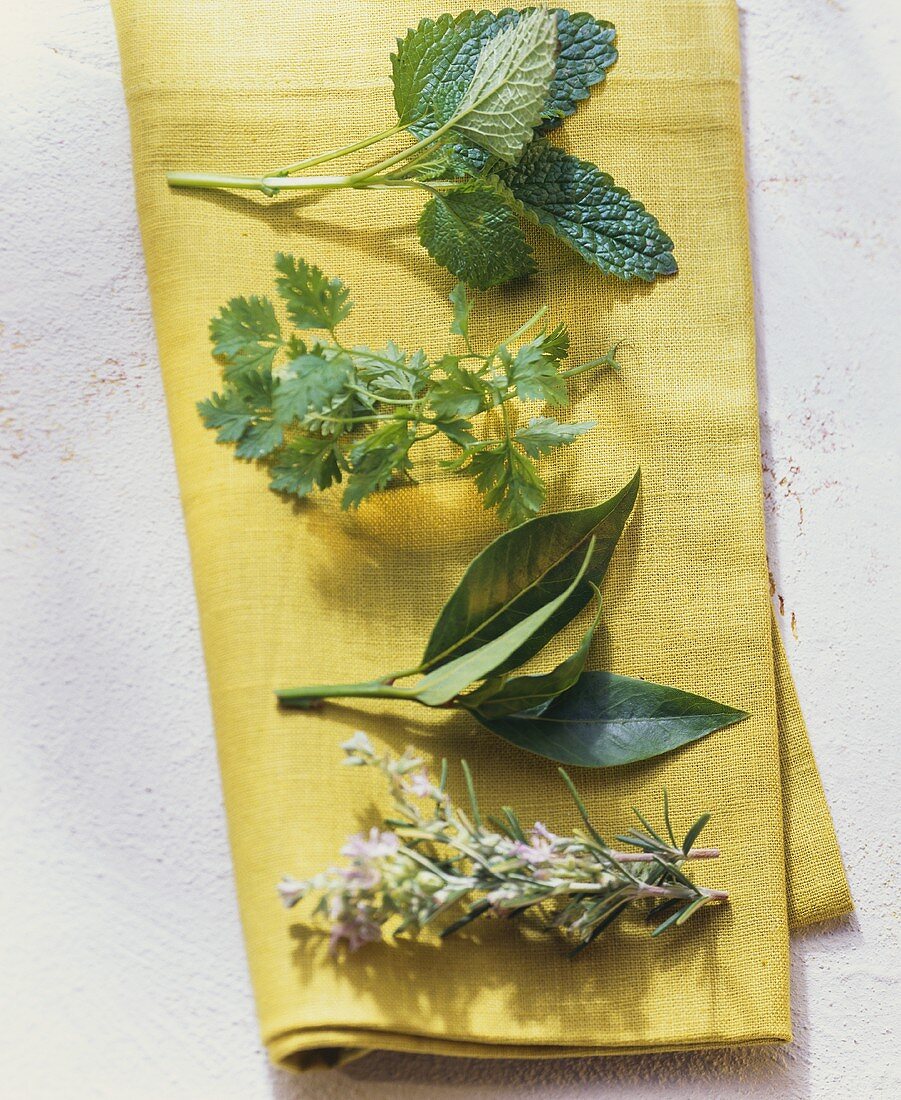 Lemon balm, chervil, bay leaves and rosemary on yellow cloth