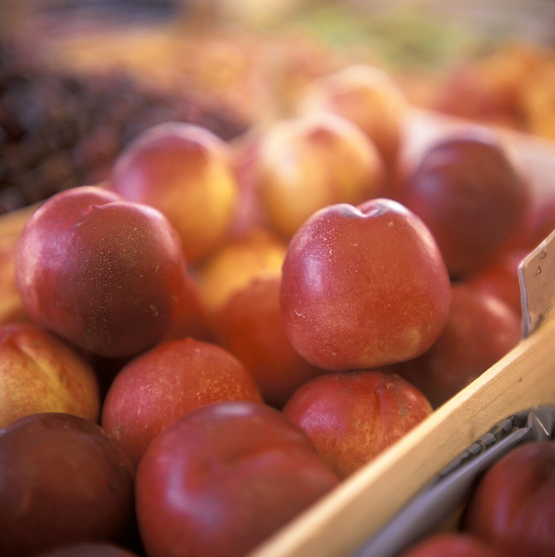 Nectarines in Crate