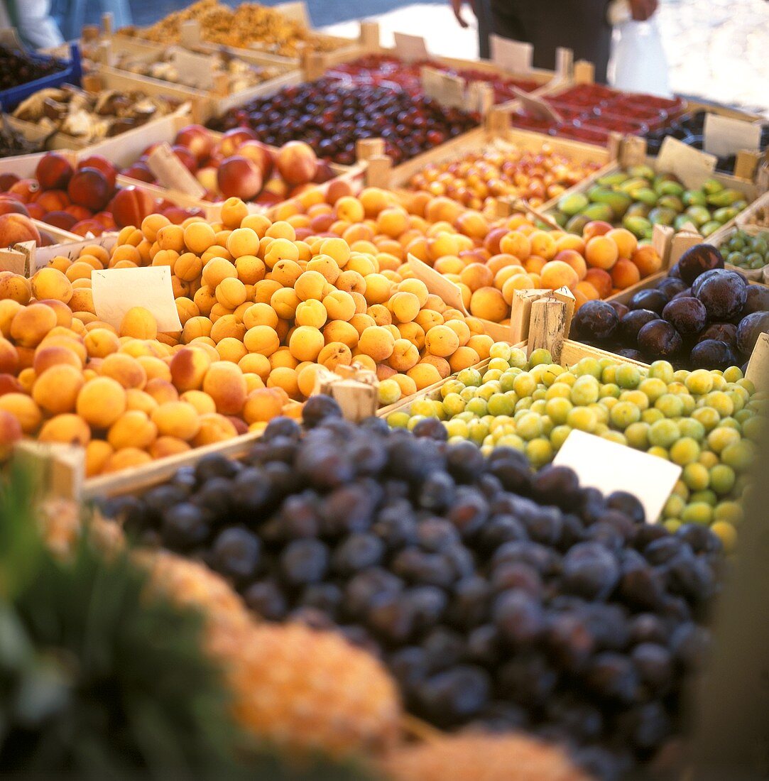 Frisches Obst, darunter Aprikosen, in Steigen auf dem Markt