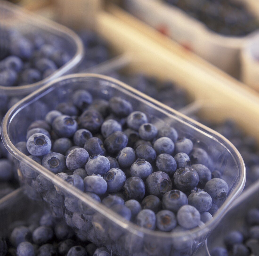 Blueberries in Basket