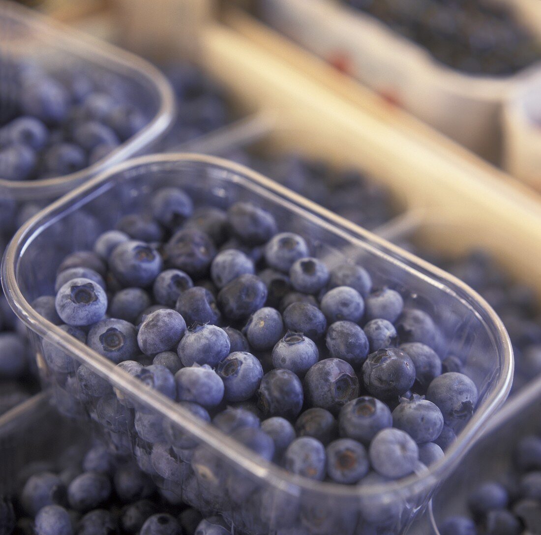 Heidelbeeren in Plastikschalen auf dem Markt