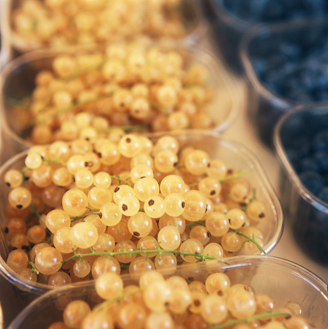 White Currants in Plastic Containers