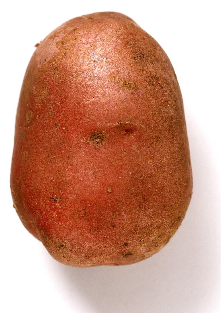 A Desiree potato (semi-floury)