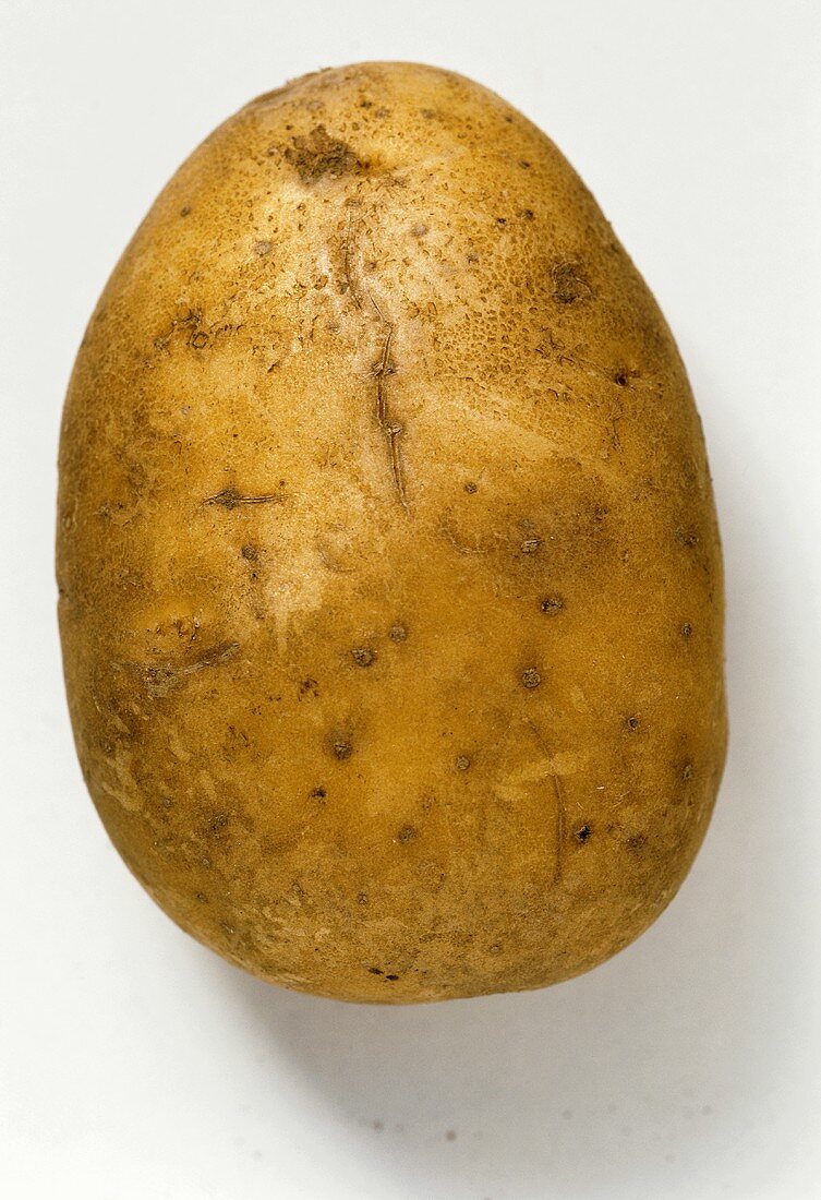 Eine Kartoffel der Sorte Linda