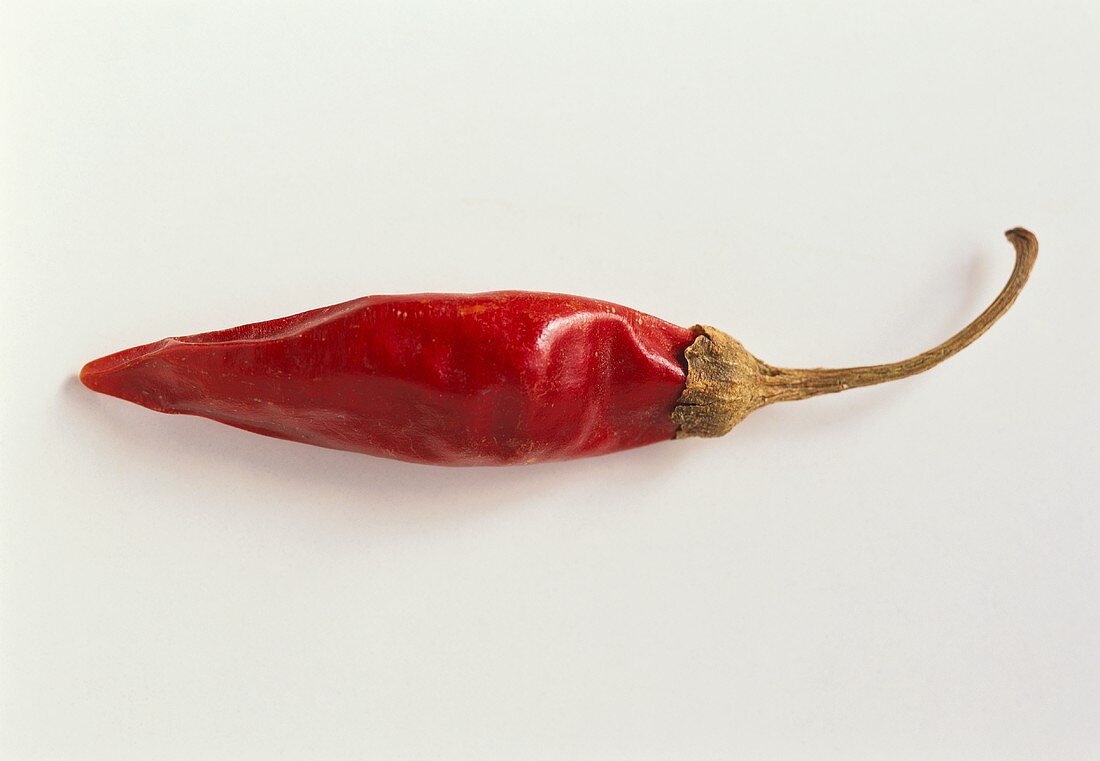 Dried chili pepper, variety; Chile Catarina