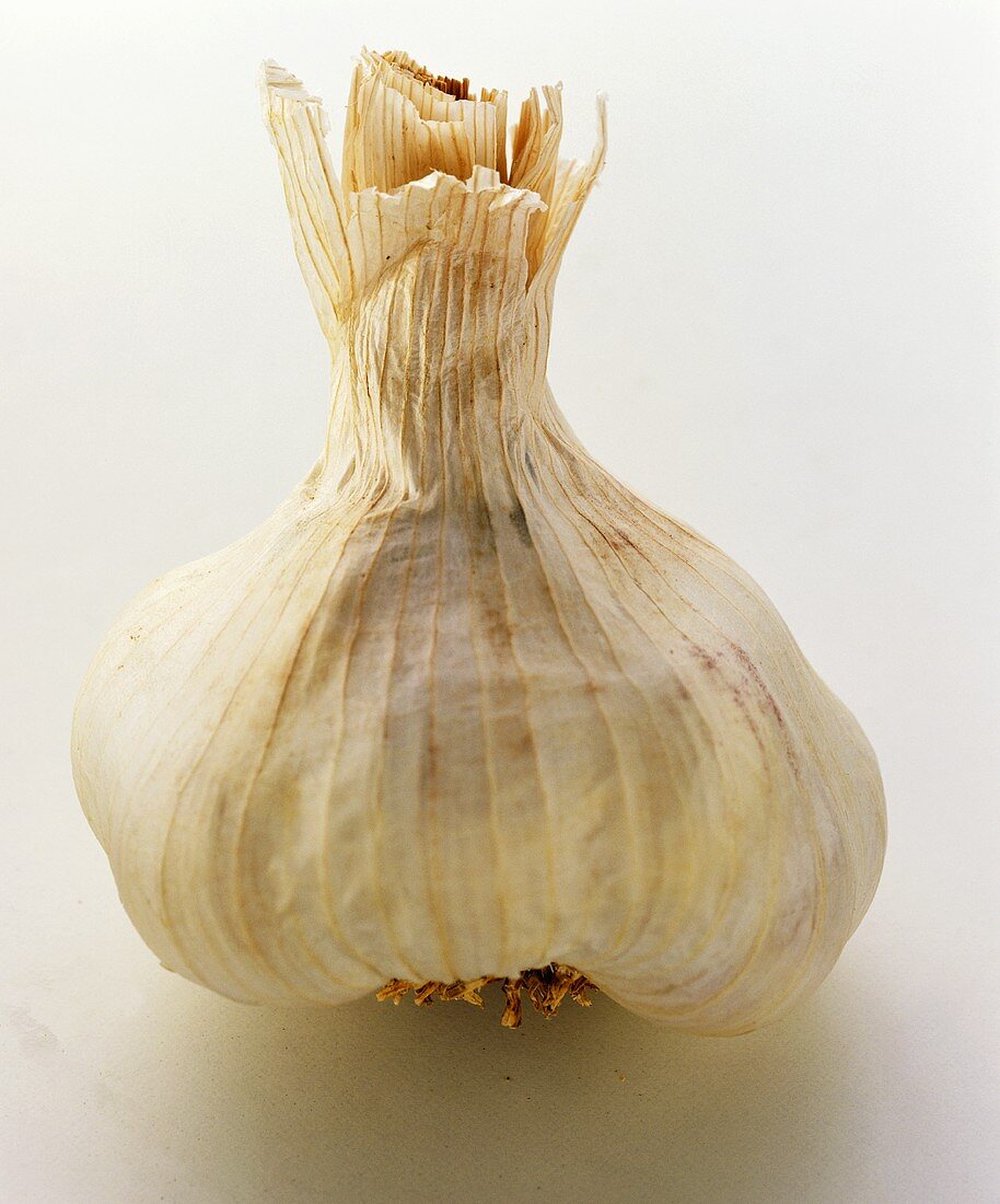 Garlic bulb