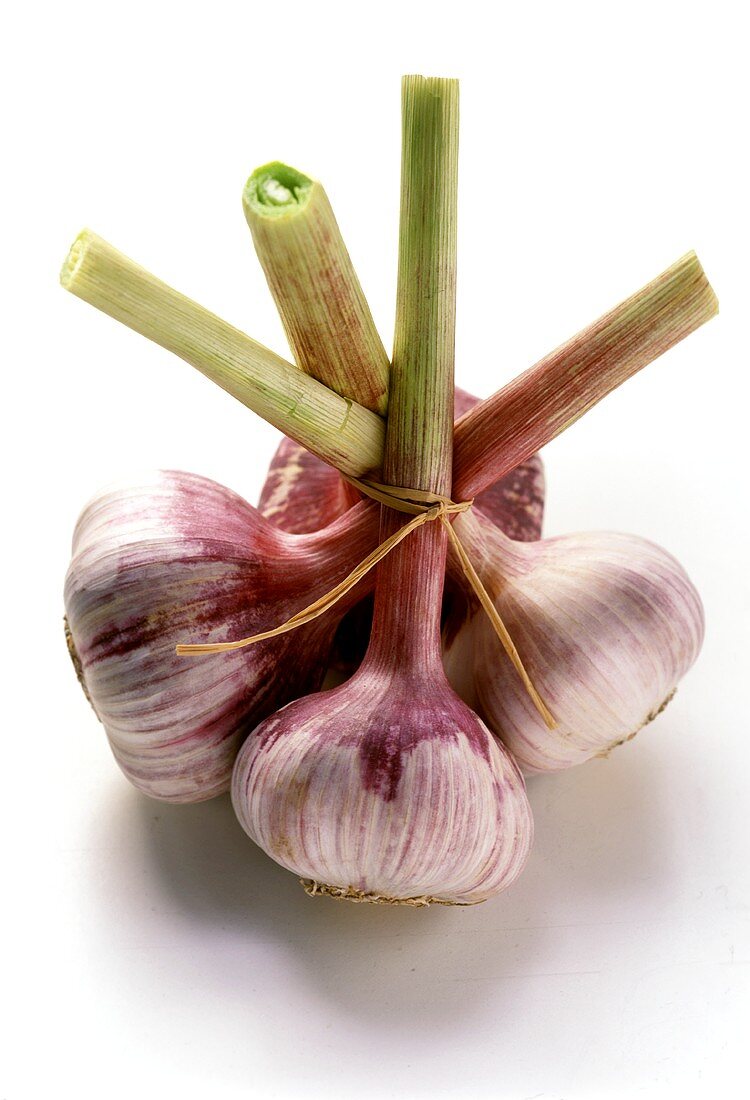 Fresh garlic, tied together