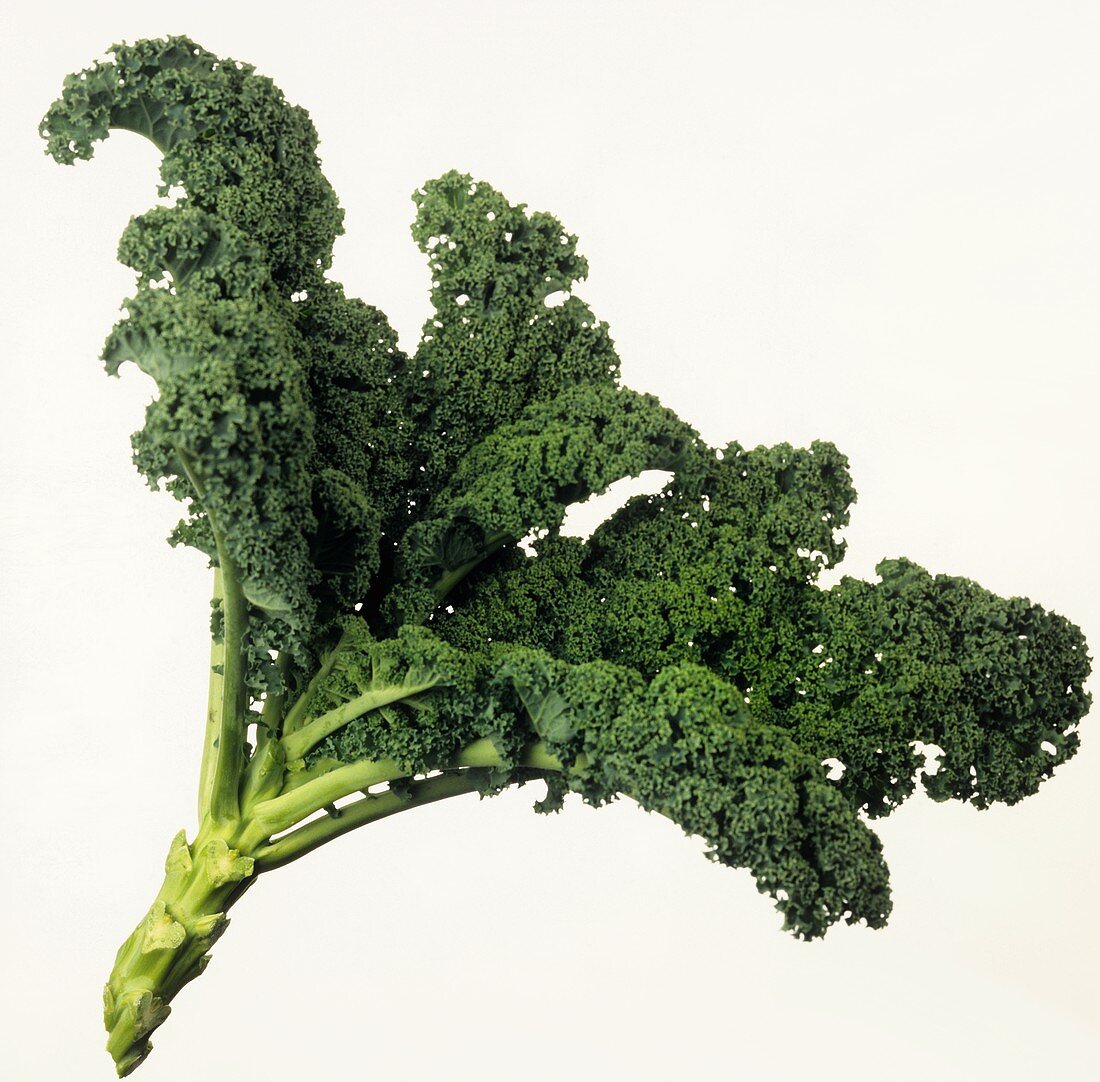 A head of kale