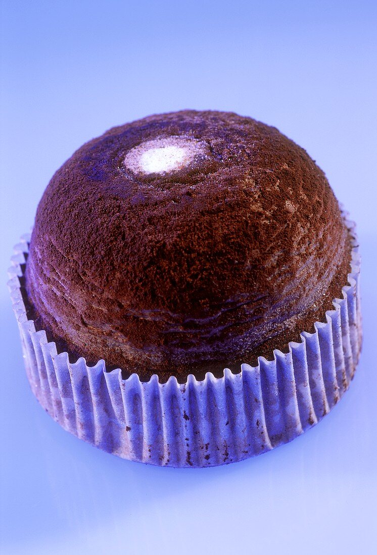 Tartufo nero (chocolate ice cream truffle, Italy)