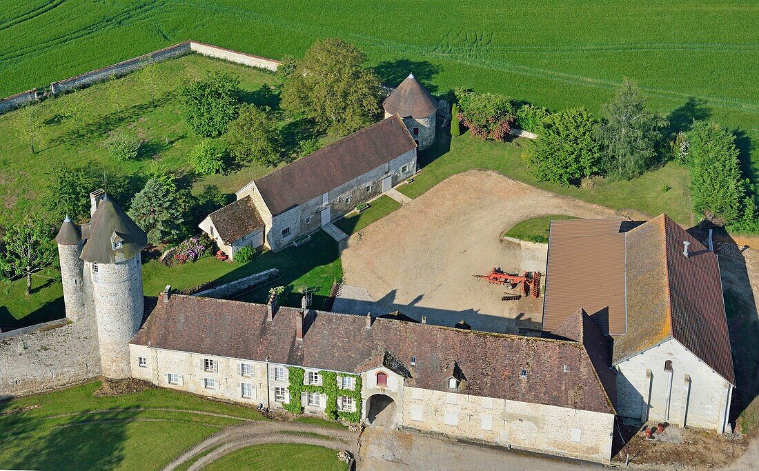 Frankreich, Val d'Oise, Naturpark des französischen Vexin, Chaussy, Getreidefeld (Luftaufnahme)