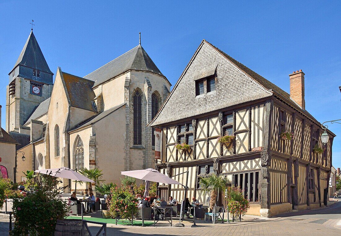 France, Cher, Sologne, Aubigny sur Nere, stud house known as François 1er (16th century)