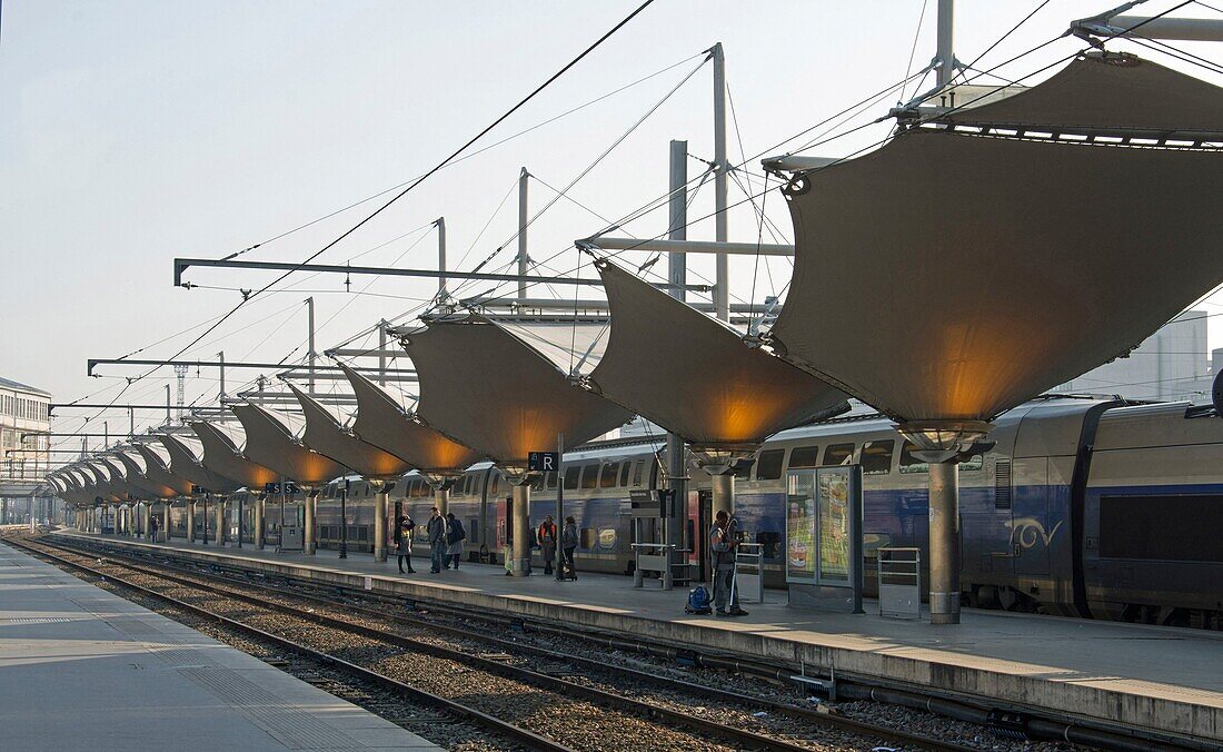 France, Paris, train platforms of Lyon station