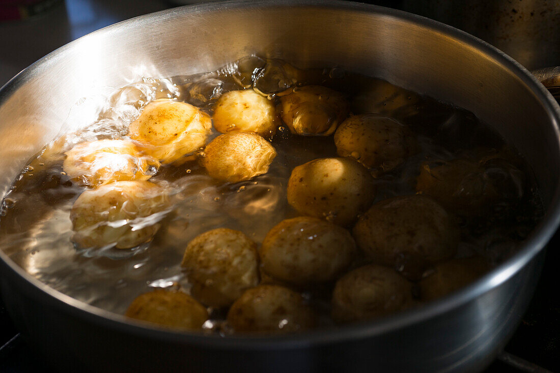 Edelstahltopf mit kleinen gelben Yukon-Kartoffeln, die in goldenem Spätnachmittagssonnenlicht im Wasser kochen