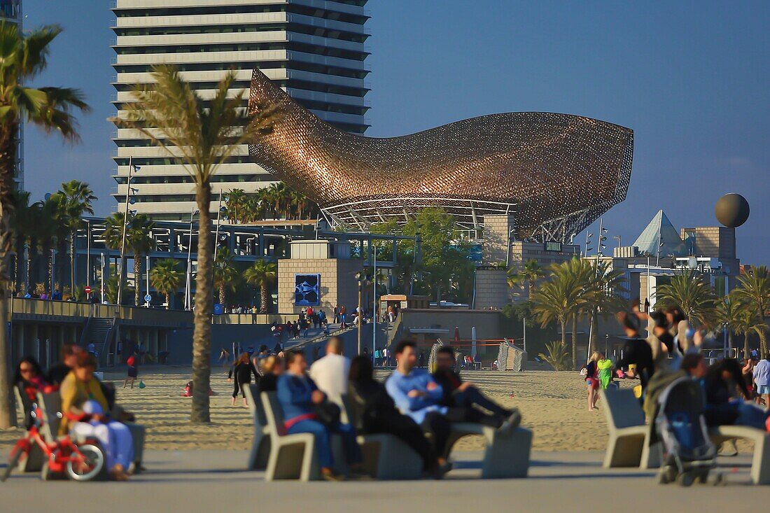 Spain, Catalonia, Barcelona, &#x200b;&#x200b;Peix or Ballena (Whale) sculpture by the American-Canadian architect Frank Owen Gehry seen from the promenade