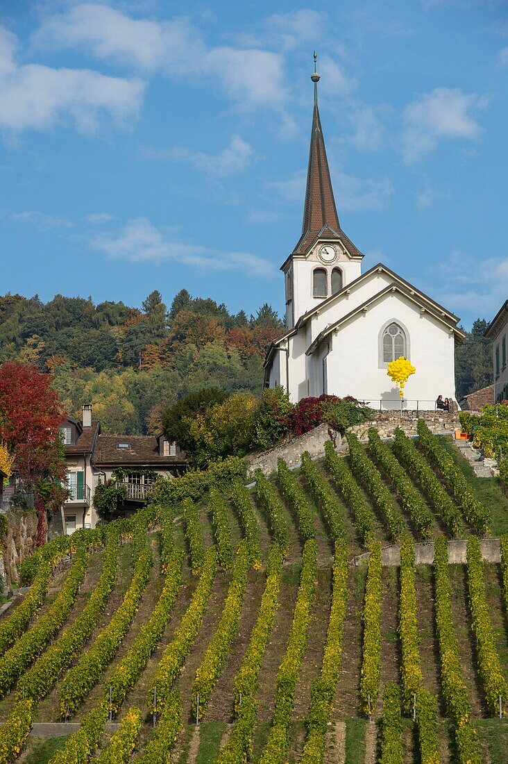 Schweiz, Kanton Waadt, Nyon, Weinberg und Dorf Féchy