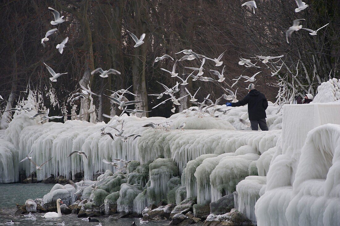 Schweiz, Kanton Waadt, Versoix, die Ufer des Genfersees bei sehr kaltem Wind mit Eis bedeckt, ein eisbedeckter Steg