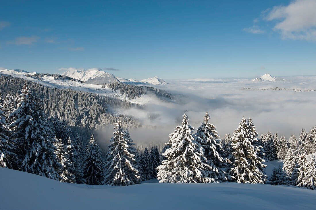 France, Haute Savoie, massif Chablais, Samoens, Grand Massif, Saix plateau westward and the chain of Bargy