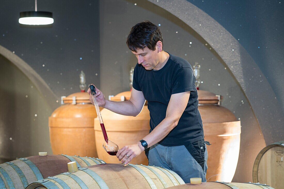 Switzerland, Valais, Val d'Anniviers, portrait of oenologist Michael Hock in Rouvinez cellar