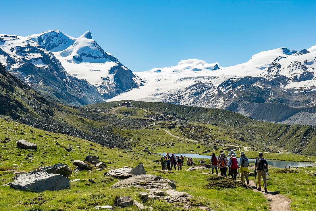 Switzerland, Valais, Zermatt, at the top of the cable car Blauherd, Lake Stellisée, and the Strahlhorn