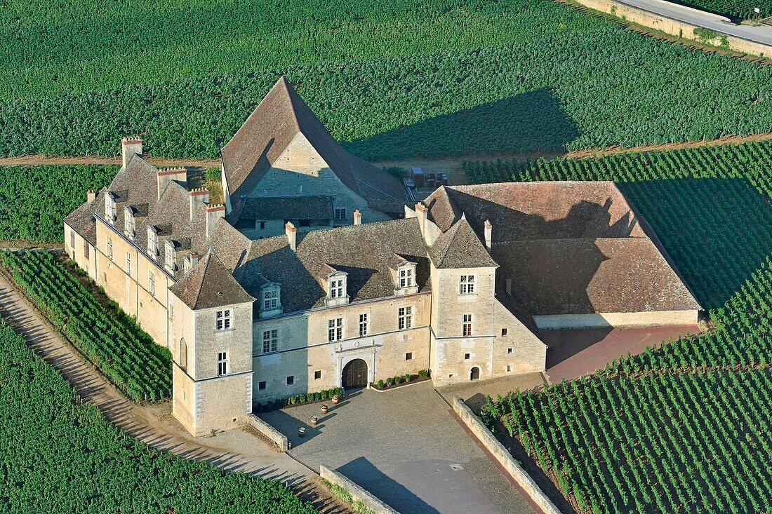 Frankreich, Cote d'Or, Burgund, von der UNESCO zum Weltkulturerbe erklärt, der Weinberg und das Schloss des Clos Vougeot (Luftaufnahme)