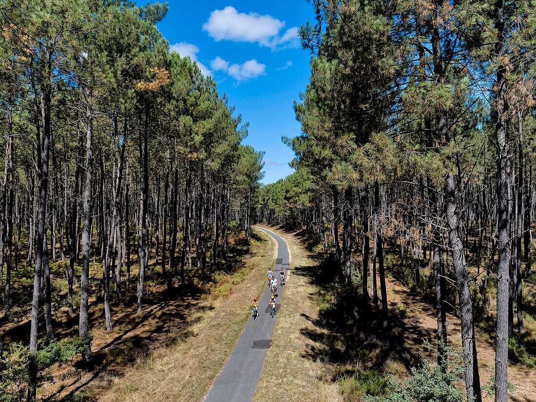 France, Gironde, Val de L'Eyre, Parc Naturel Régional des Landes de Gascogne, cycle tourism