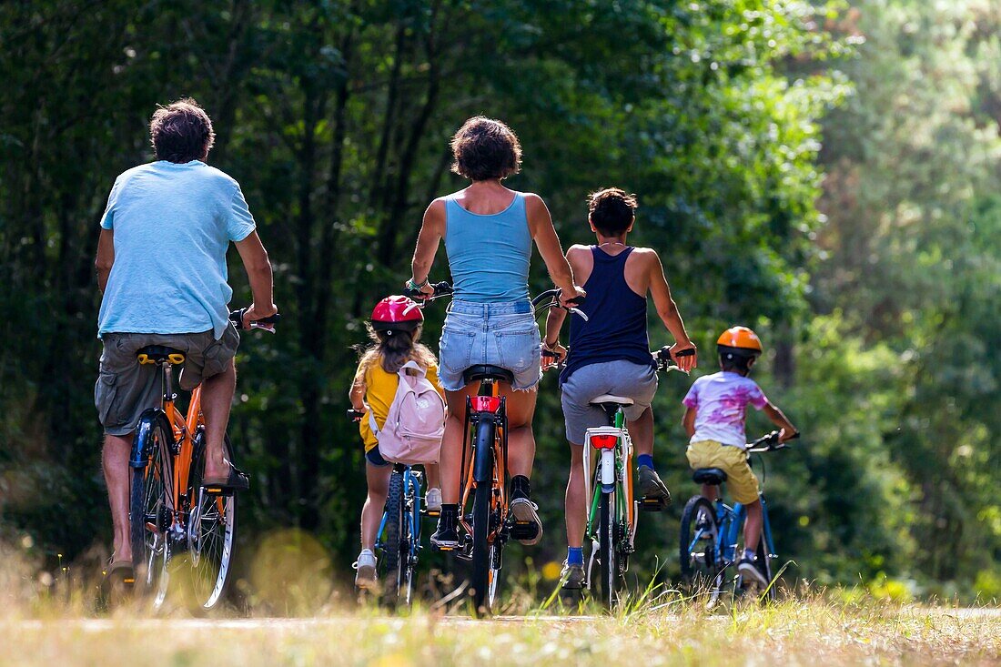 France, Gironde, Val de L'Eyre, Parc Naturel Régional des Landes de Gascogne, cycle tourism