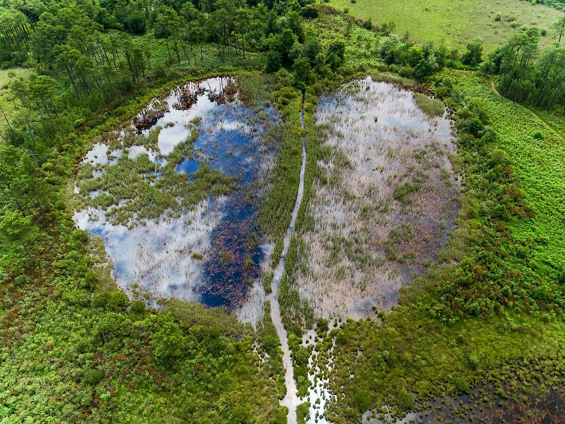 France, Gironde, Val de L'Eyre, Parc Naturel Régional des Landes de Gascogne, the lagoons of Gat Mort, a remnant of the moor of other times (aerial view)