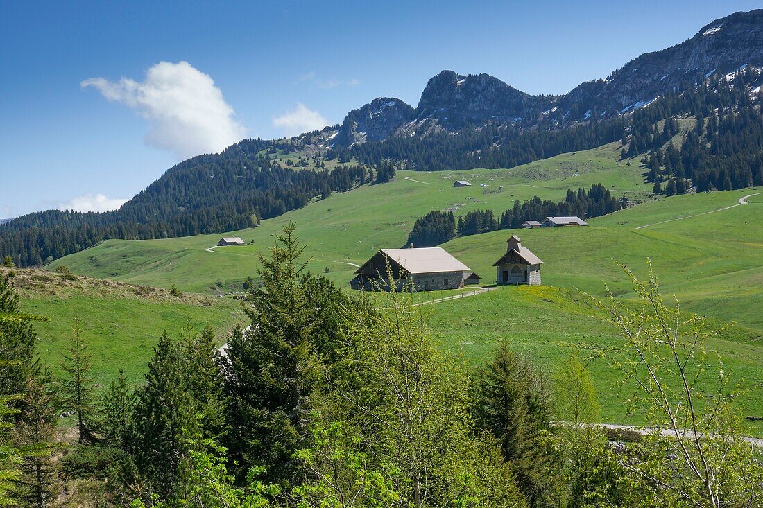 Frankreich, Haute Savoie, Aravis-Massiv, Plateau des Glieres, Rundwanderung zur Tête Ronde, Durchgang zur Notre Dame des Neiges