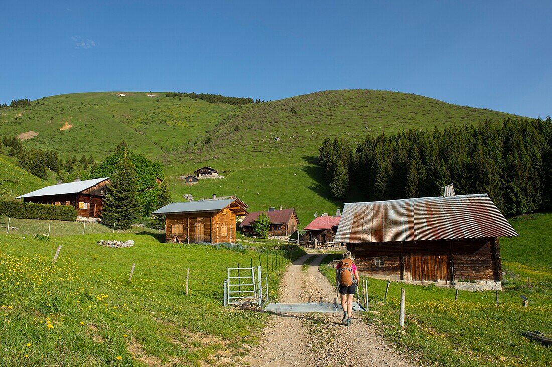 Frankreich, Hochsavoyen, Bornes-Massiv, Glieres-Hochebene, Wanderung zum Parnal-Felsen, Weiler Alpage des Mouilles