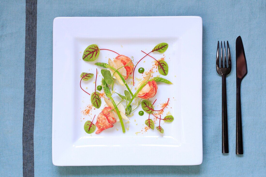 Canada, New Brunswick, Acadie, Moncton, Chef Pierre A. Richard's Little Louis Restaurant, Poached Lobster with Wild Asparagus and Beet Leaves