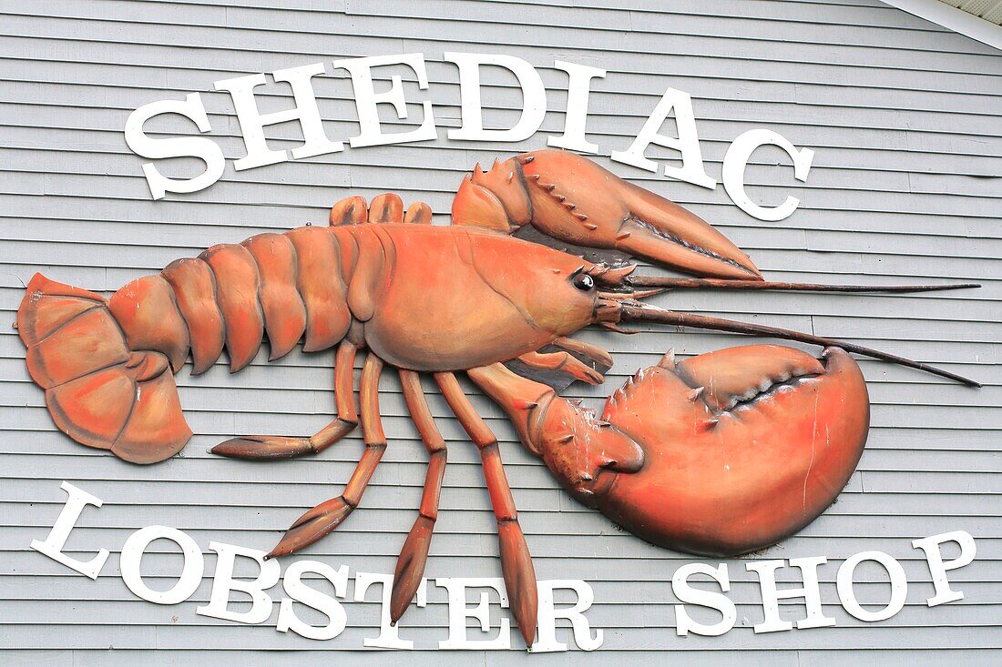 Canada, New Brunswick, Acadie, Westmorland County, Shediac (Self-proclaimed Lobster Capital of the World), Shediac Lobster Shop, Fresh Lobster Vendor