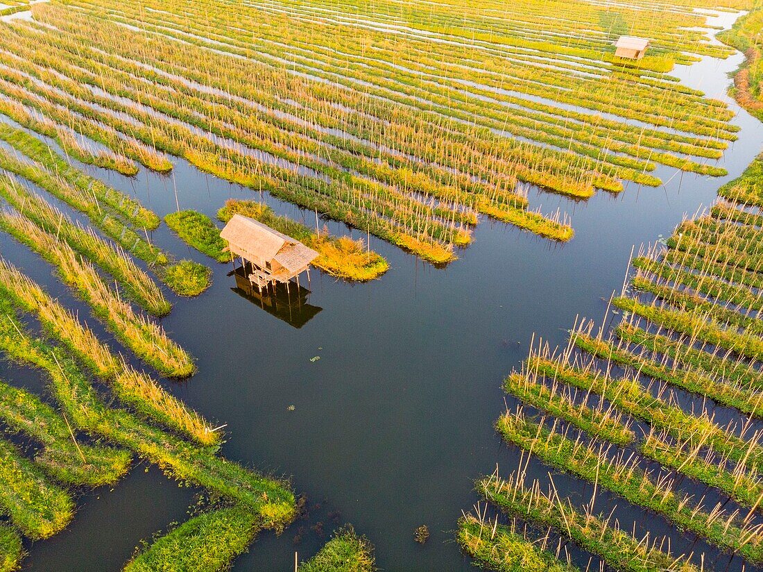 Myanmar (Burma), Shan-Staat, Inle-See, Kela Floating Gardens (Luftaufnahme)