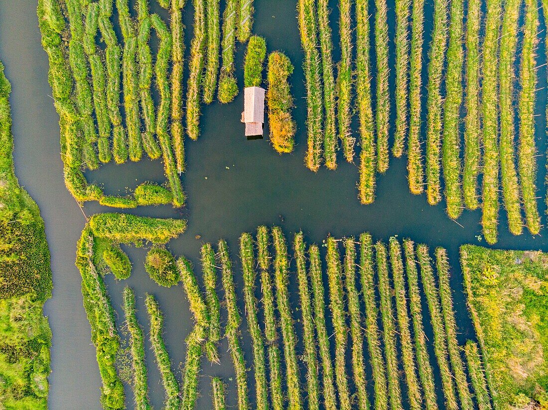 Myanmar (Burma), Shan-Staat, Inle-See, Kela Floating Gardens (Luftaufnahme)