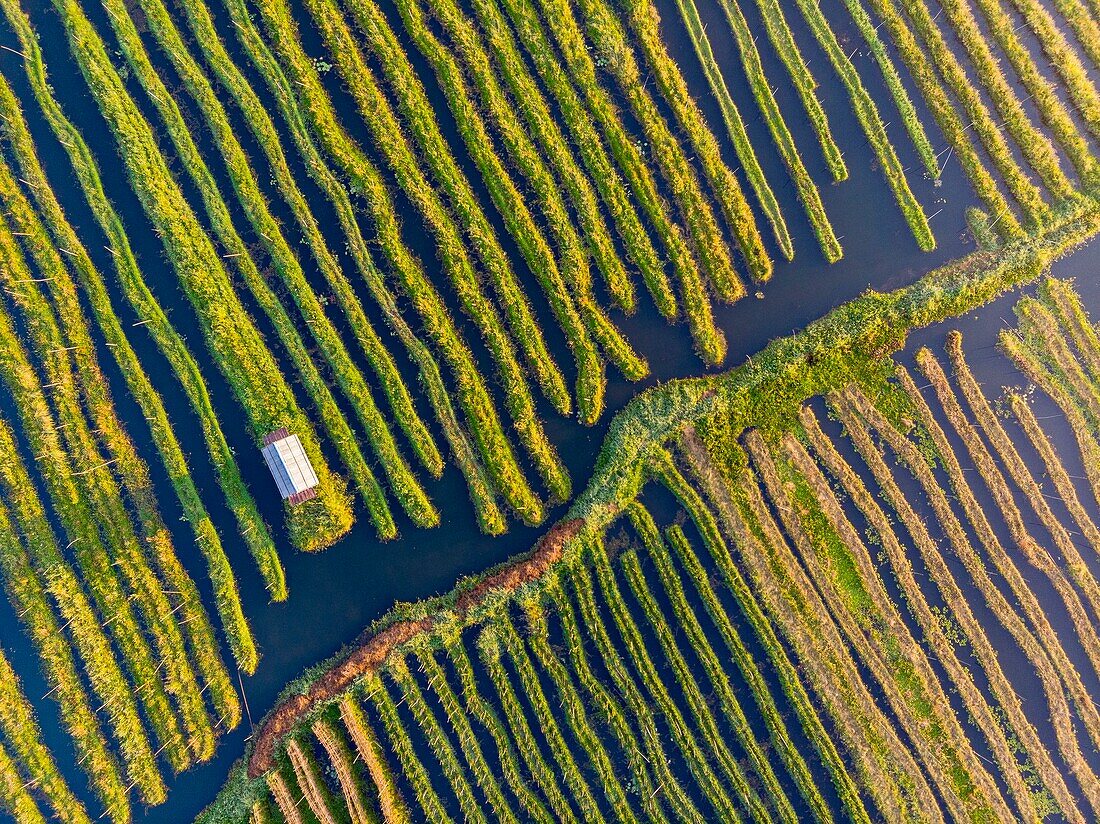 Myanmar (Burma), Shan-Staat, Inle-See, Kela Floating Gardens (Luftaufnahme)