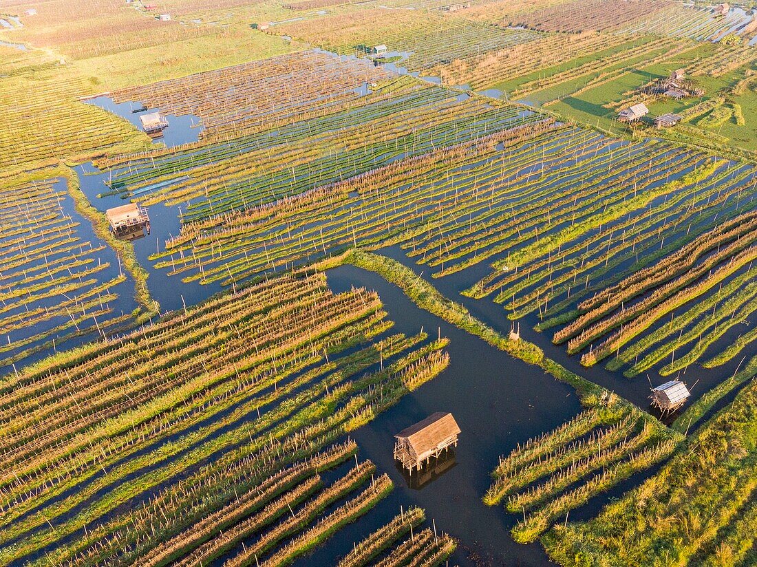 Myanmar (Burma), Shan-Staat, Inle-See, Kela Floating Gardens (Luftaufnahme)