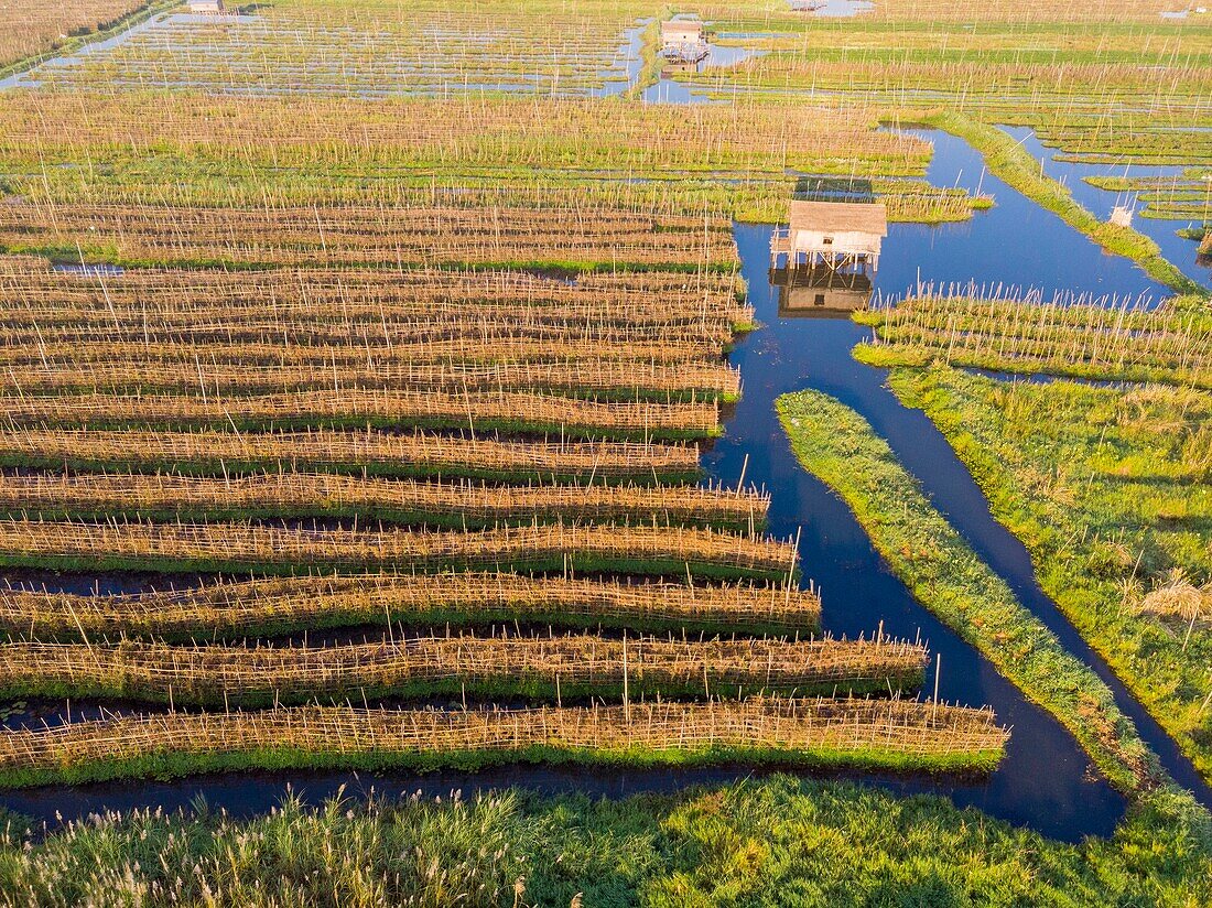 Myanmar (Burma), Shan-Staat, Inle-See, Kela Floating Gardens (Luftaufnahme)