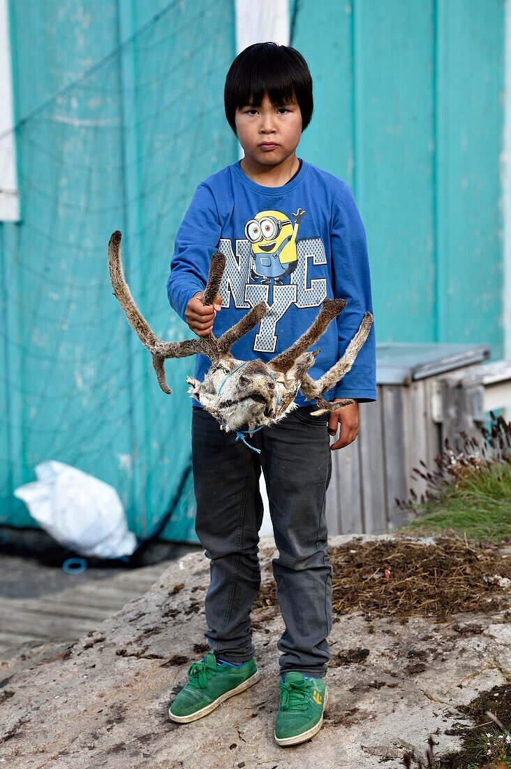 Grönland, Westküste, Baffin Bay, Upernavik, junger Inuit zeigt einen von seinem Vater erlegten Rentierkopf