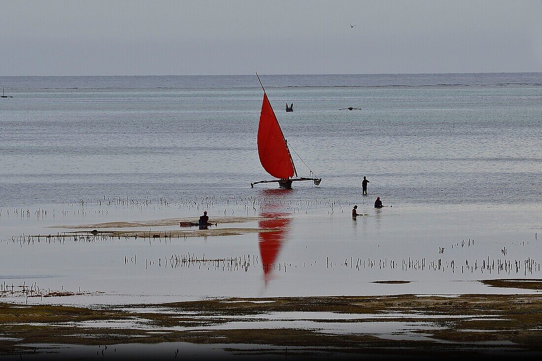 Tanzania, Zanzibar, Jambiani, fishermen and outrigger canoe