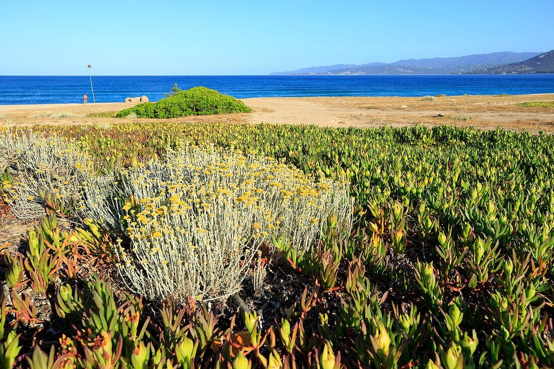 Frankreich, Corse du Sud, Propriano, Capu Laurosu Strand