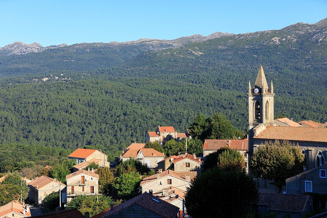 France, Corse du Sud, Zonza